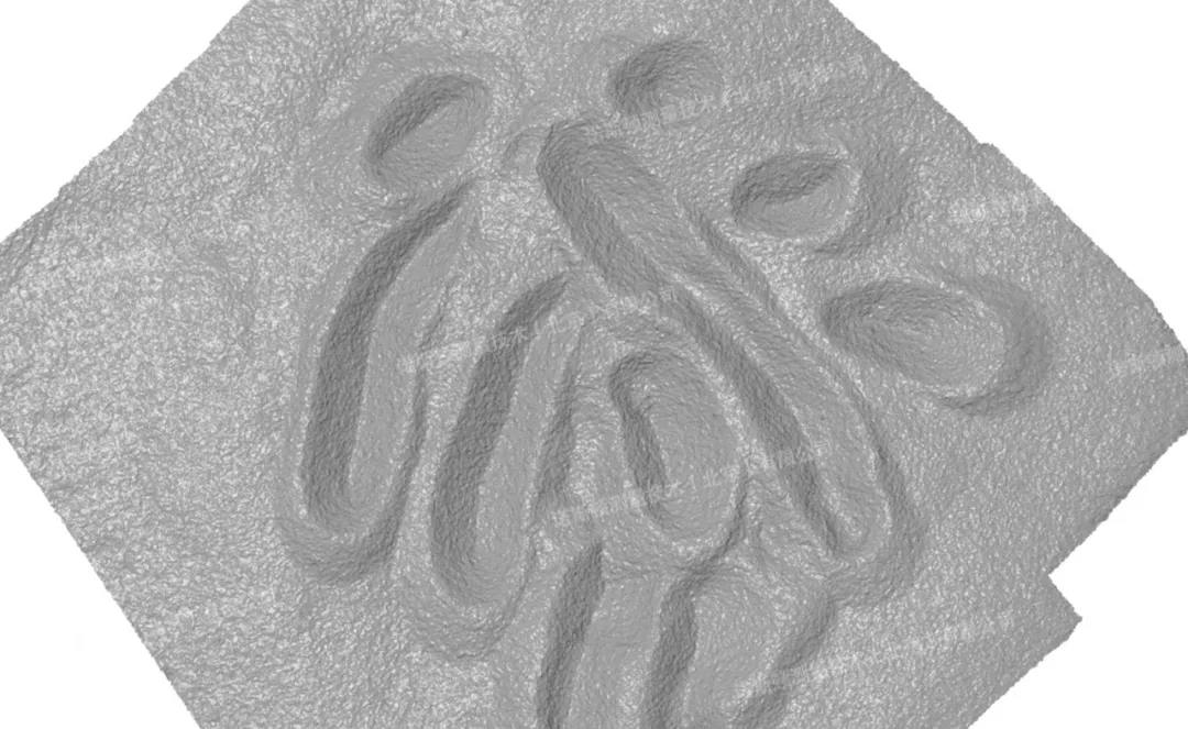 1775531323389953.jpg 5.jpg